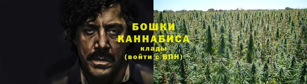 трава Елабуга