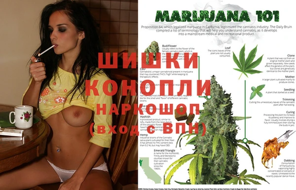 прущие грибы Ельня