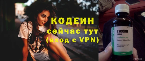 прущие грибы Ельня