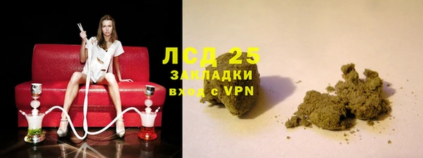 прущие грибы Ельня