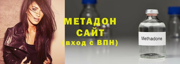 прущие грибы Ельня