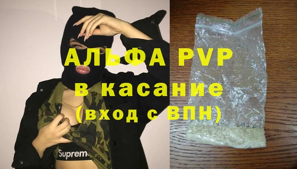 прущие грибы Ельня