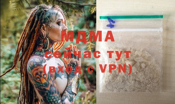 прущие грибы Ельня