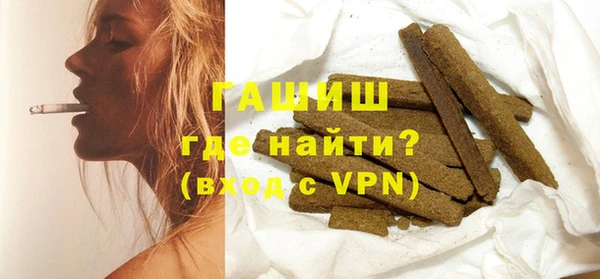 прущие грибы Ельня