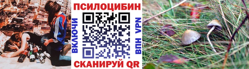 Галлюциногенные грибы мицелий  Купить закладки  Тара 